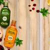 Garnier Botanic Therapy 10
