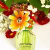 Marc Jacobs Daisy Wild Eau So Intense 17