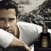 Dolce & Gabbana Intenso 1
