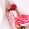 The Merchant of Venice Rosa Moceniga Elixir 17