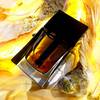 Dior Homme Parfum - woda perfumowana 1
