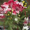 Miloo Home Christmas Collection 16