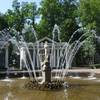 Gracef Podróże Peterhof 20