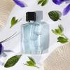 Oriflame Eclat Amour i Eclat Toujours 3