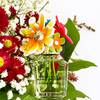 Marc Jacobs Daisy Wild Eau So Intense 13